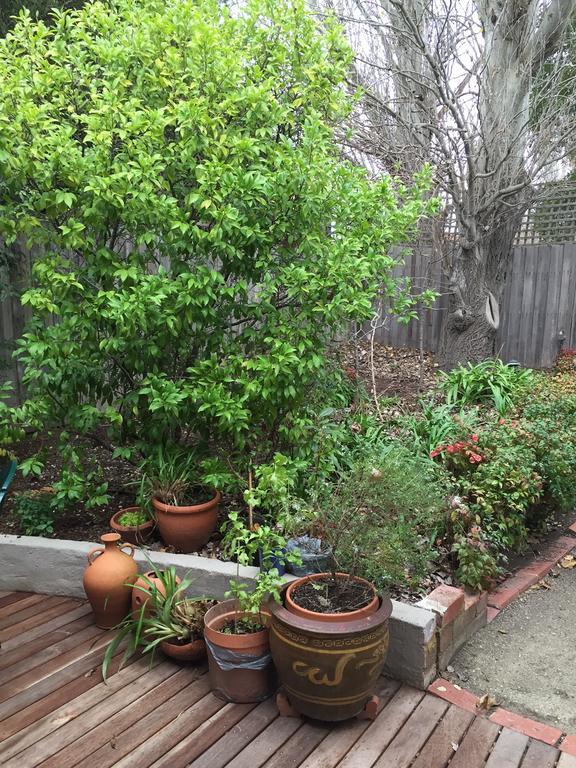 Garden Cottage St Kilda Melbourne Luaran gambar